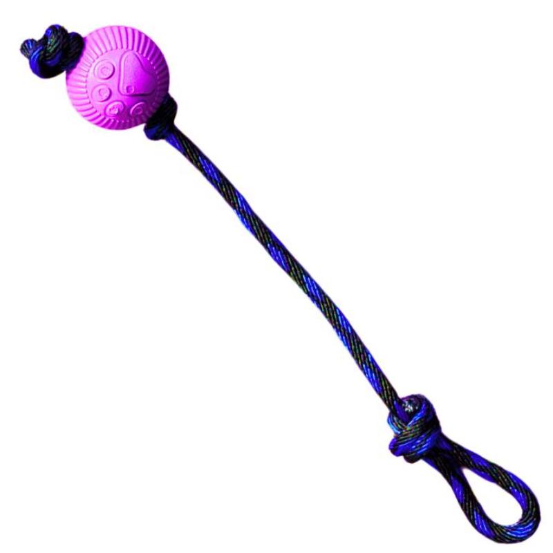 paw-day-pelota-lazo-mediana