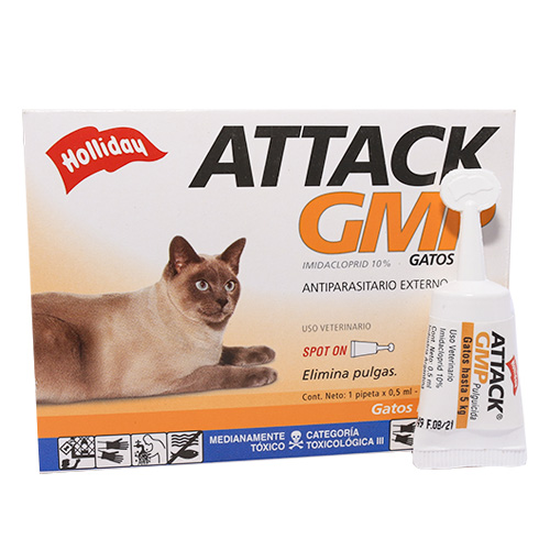 attack-gatos
