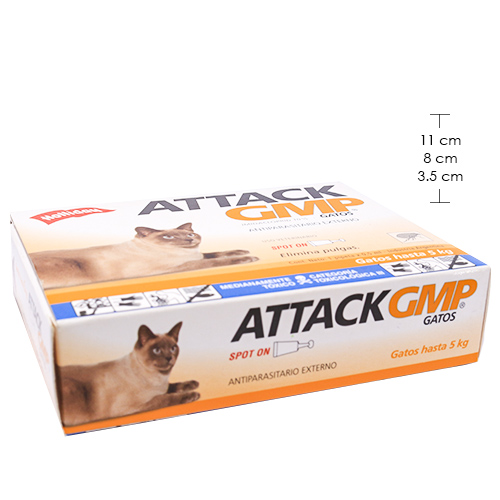 attack-gatos