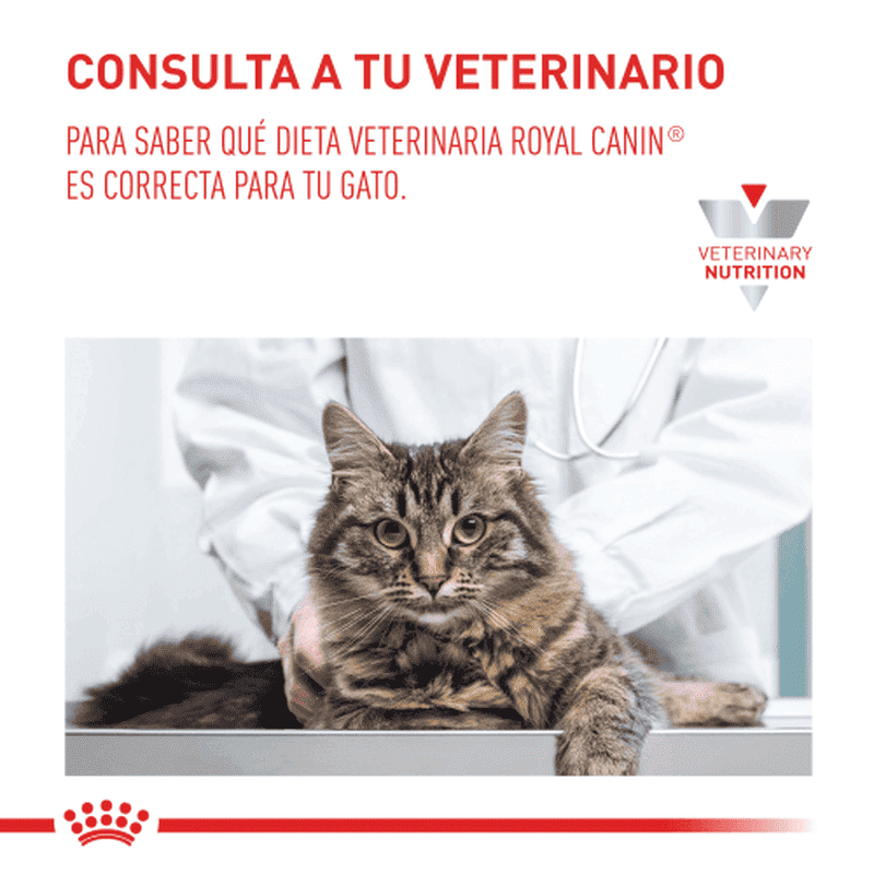 royal-canin-gastro-intestinal-cat