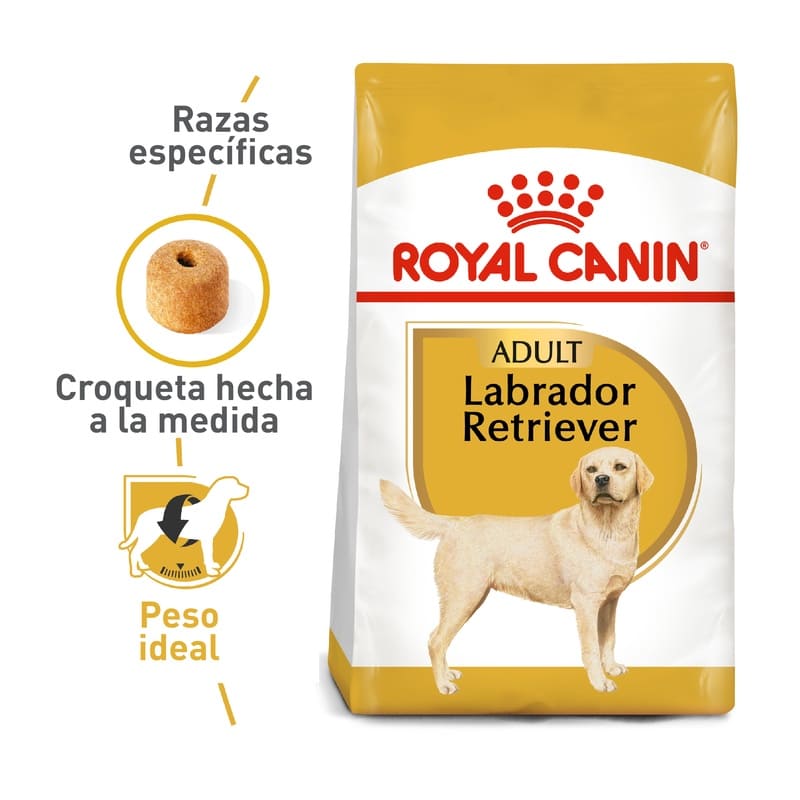 royal-canin-labrador