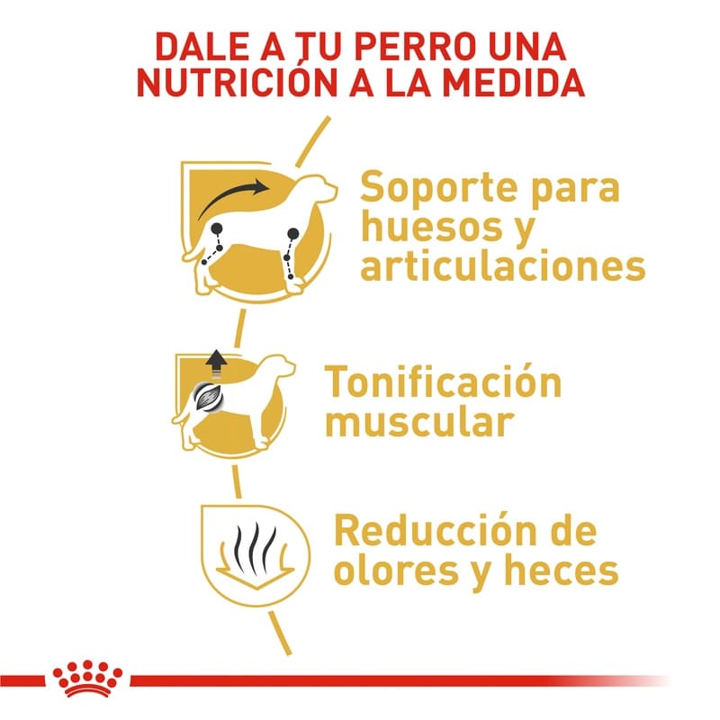 royal-canin-dachshund