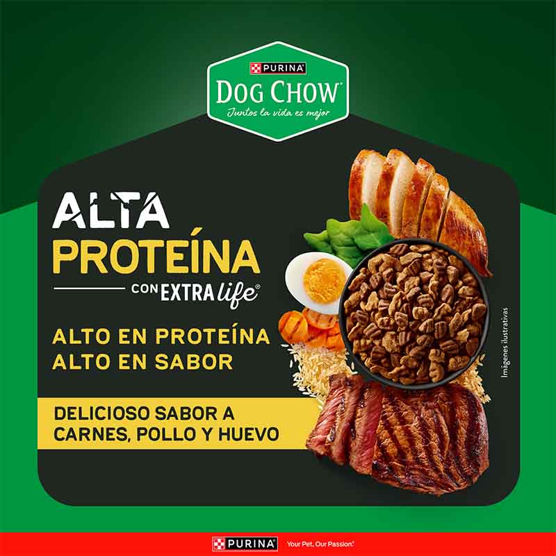 dog-chow-alimento-para-perro-adulto-alta-proteina