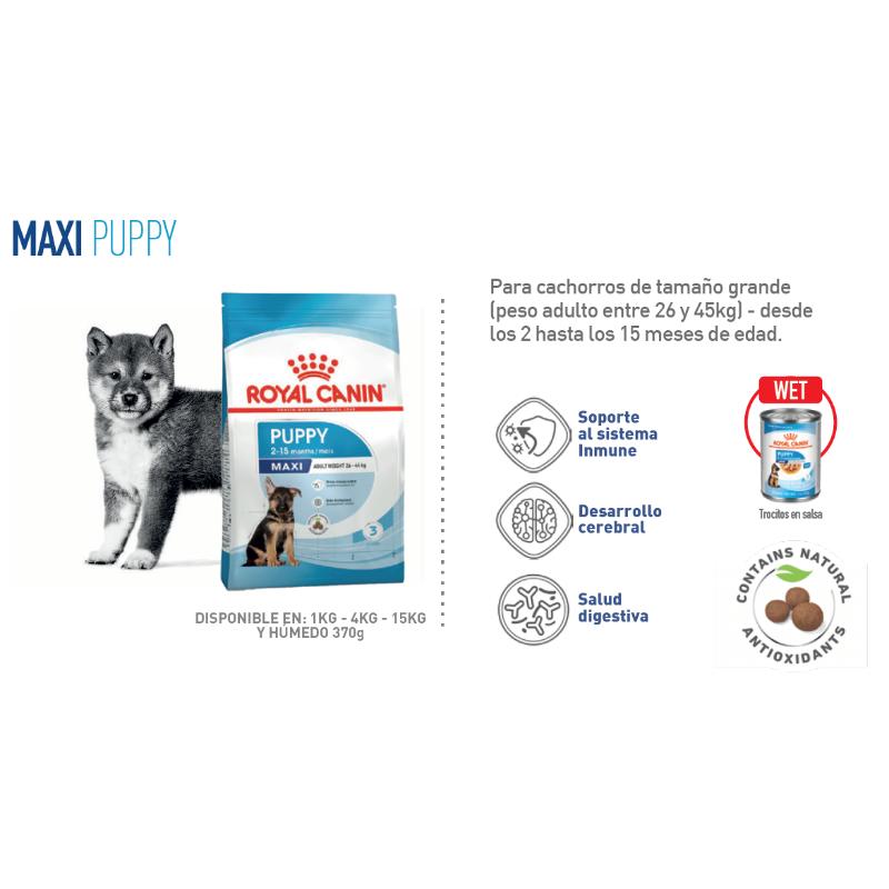 royal-canin-shn-large-puppy-lata