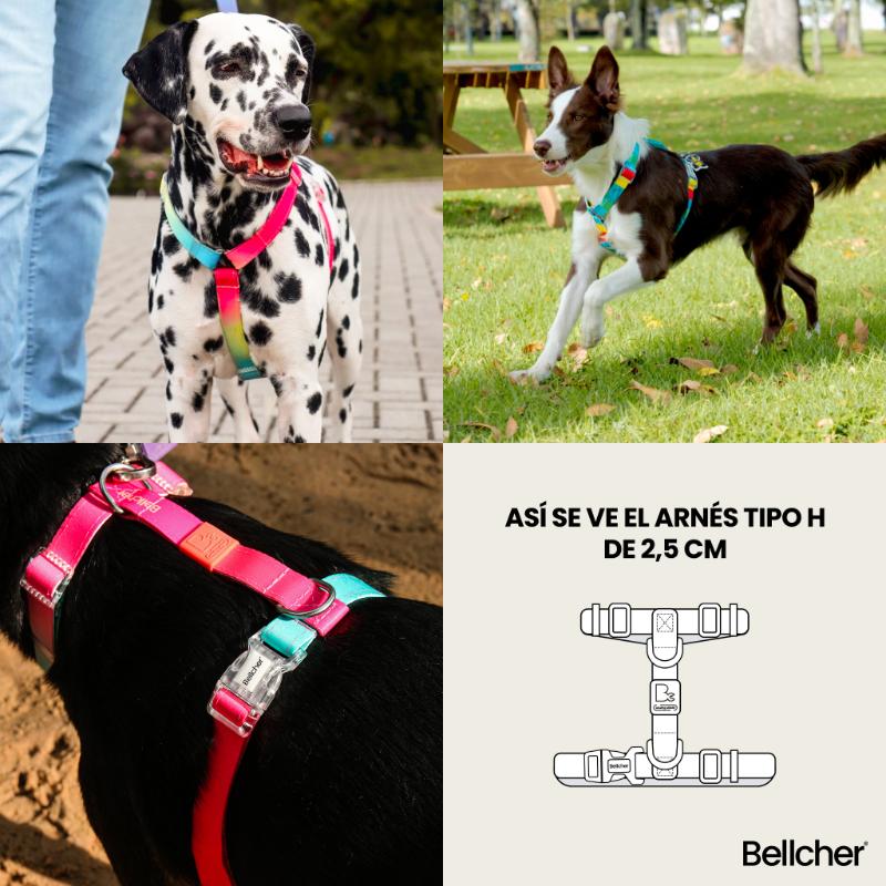 bellcher-arnes-tipo-h-donelly-colors-25-cm