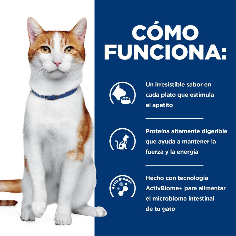 hills-alimento-humedo-para-gato-onc-care