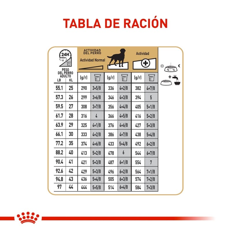 royal-canin-labrador
