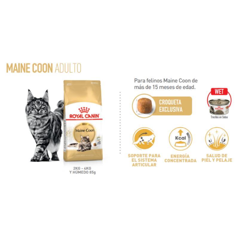 royal-canin-fbn-maine-coon-lata