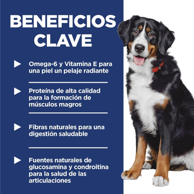 hills-science-diet-large-breed-adult-1-5-dog