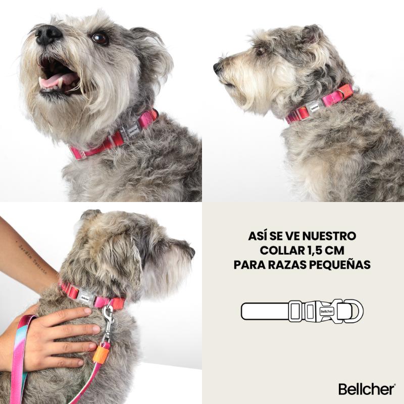 bellcher-collar-broche-fleker-15-cm