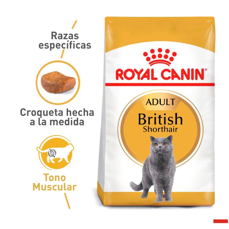 Royal Canin - Alimento Gato British Shorthair