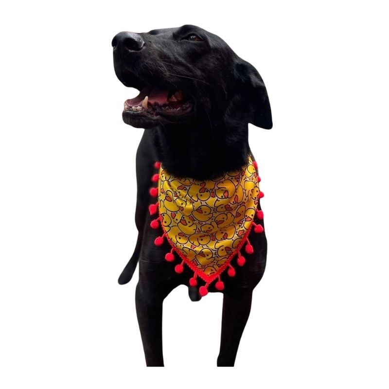 PH Bandana Patos