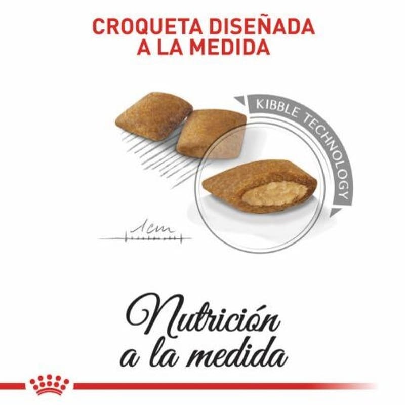 royal-canin-mini-exigent
