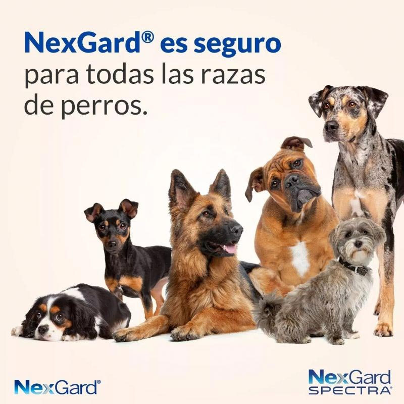 nexgard-spectra-tableta-masticable-para-perros-36-75-kg