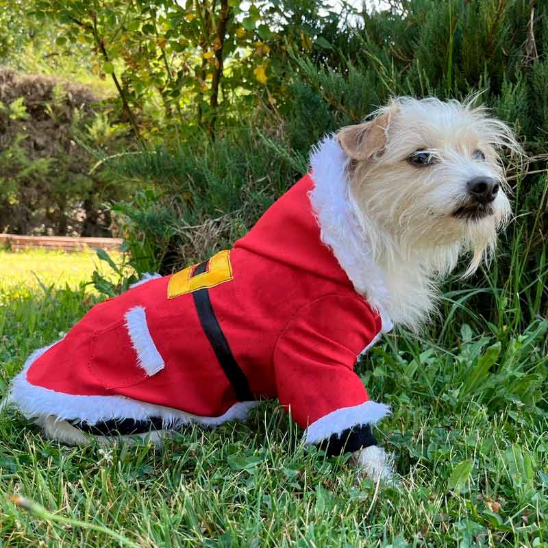 alonso-ropa-de-mascotas-poleron-viejito-pascuero