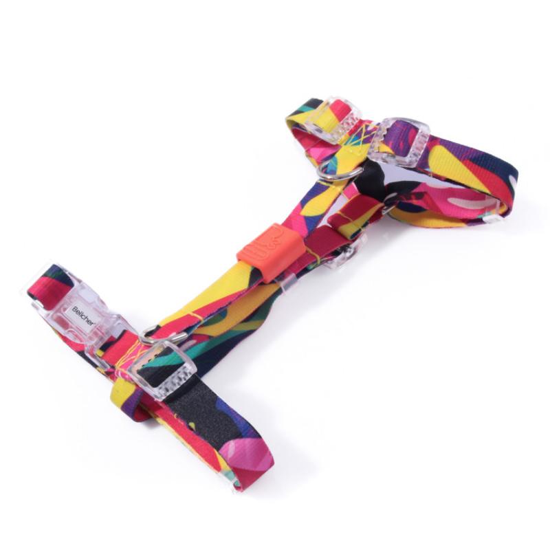 bellcher-arnes-tipo-h-donelly-colors-25-cm