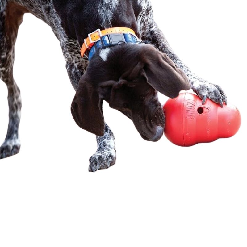 kong-juguete-dispensador-para-perro
