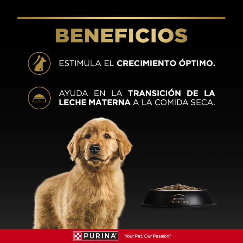 pro-plan-puppy-razas-medianas