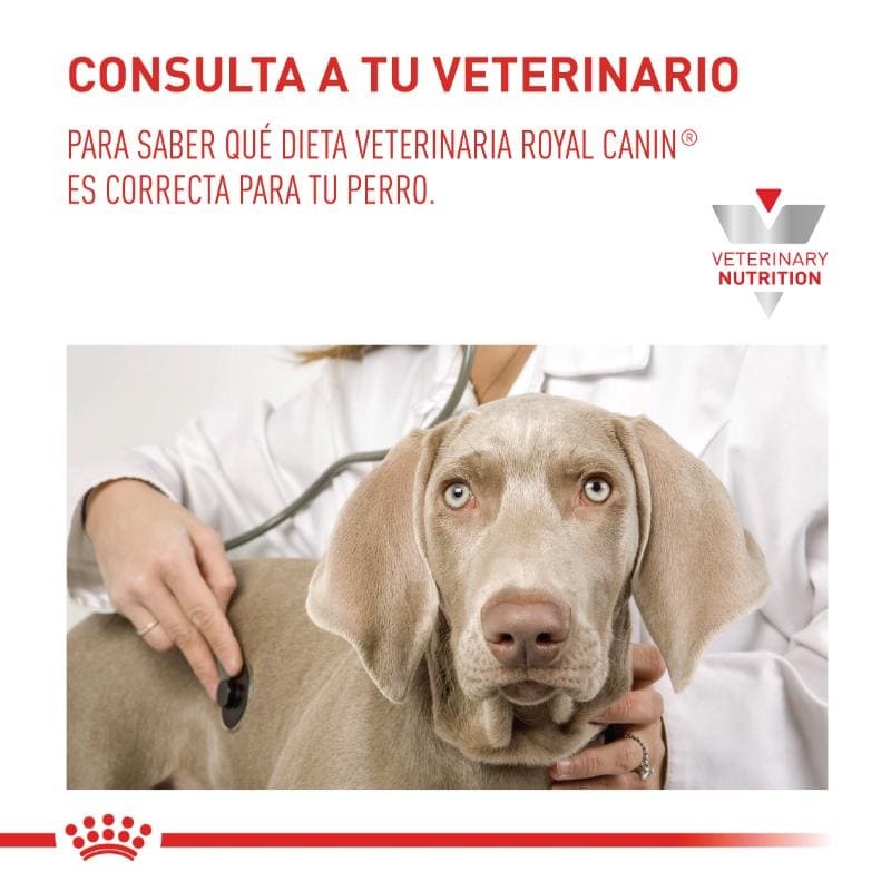 royal-canin-vhn-anallergenic-perro