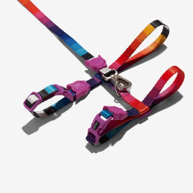 ZEEDOG Kit Correa y Arnés para Gato Modelo Prisma