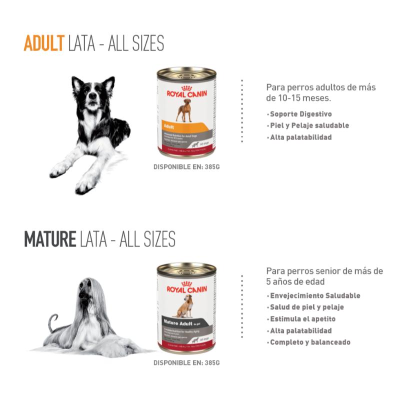 royal-canin-chn-adult-lata