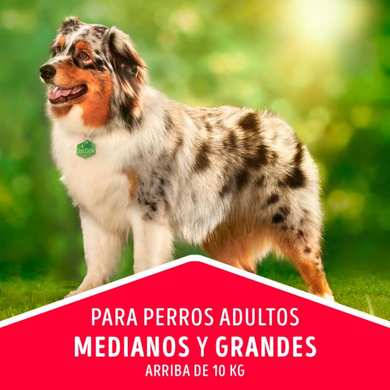 dog-chow-salud-visible-adultos-medianos-y-grandes