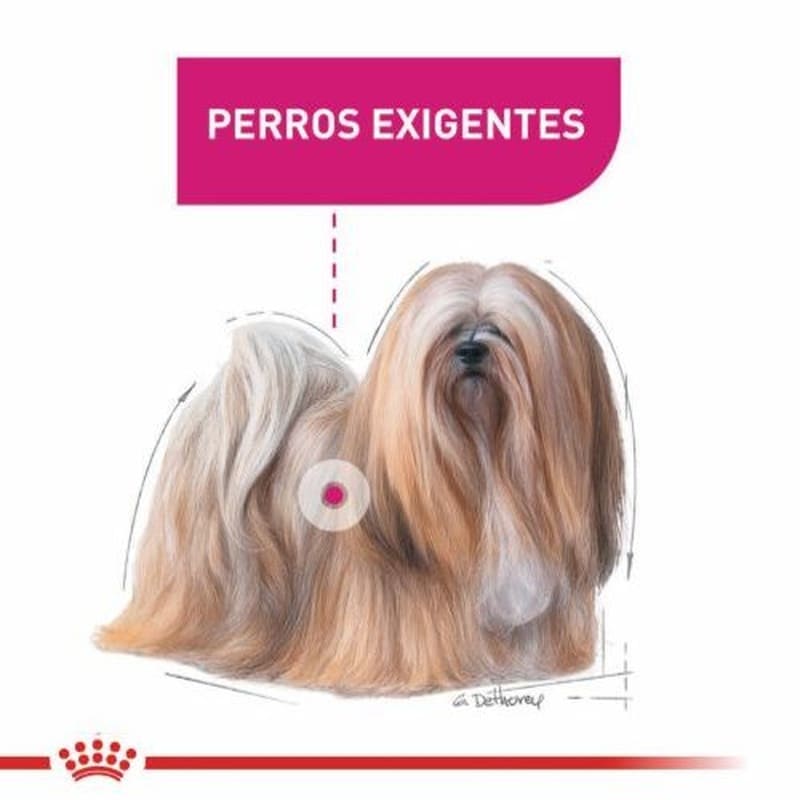 royal-canin-mini-exigent