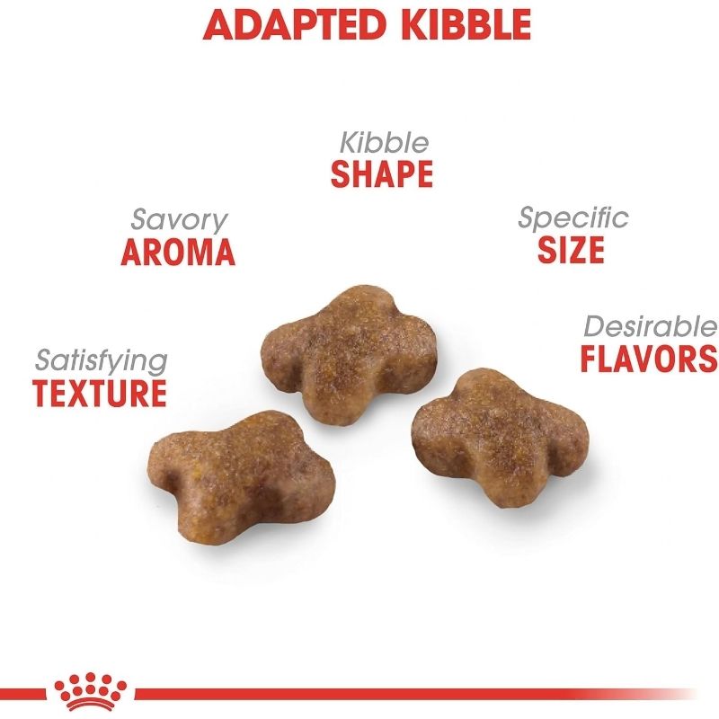 royal-canin-alimento-seco-para-minino-kitten