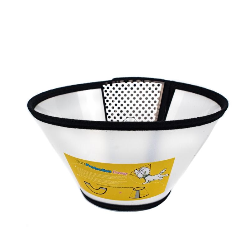 Paw Day - Collar Isabelino