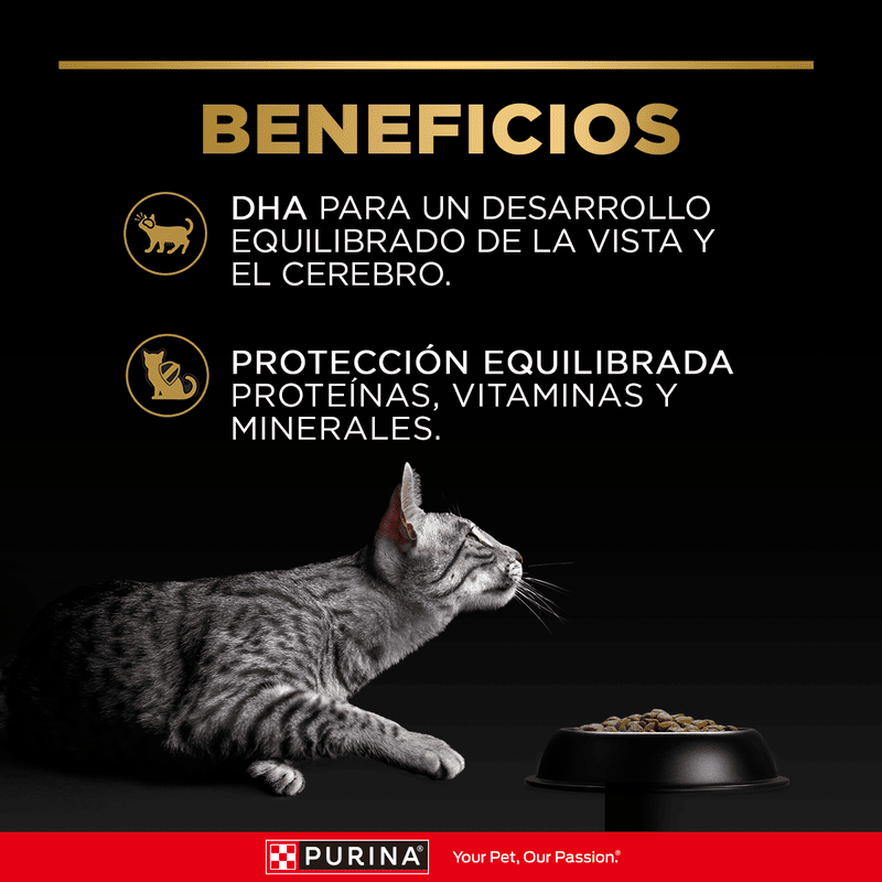 purina-pro-plan-pouch-kitten-wet-pollo