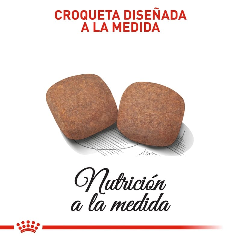 royal-canin-giant-adult