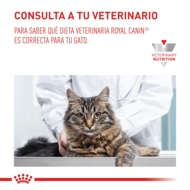 royal-canin-urinary-so-cat