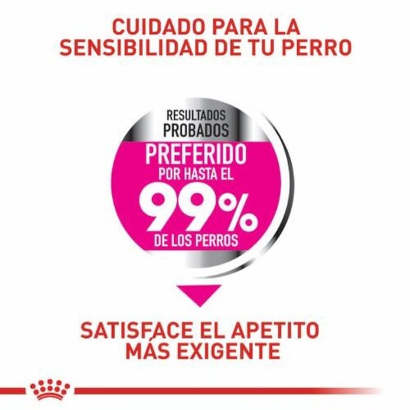 royal-canin-mini-exigent