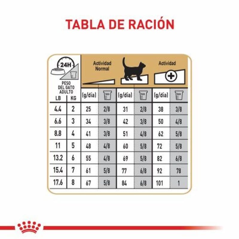 royal-canin-bengali-adulto