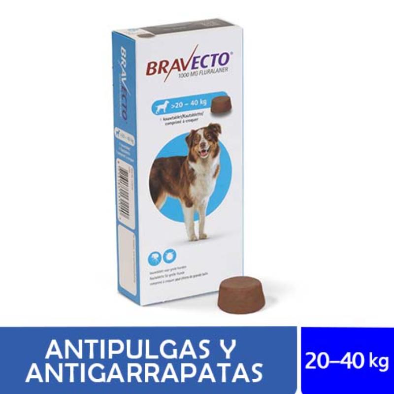 bravecto-perros-de-20-hasta-40-kg