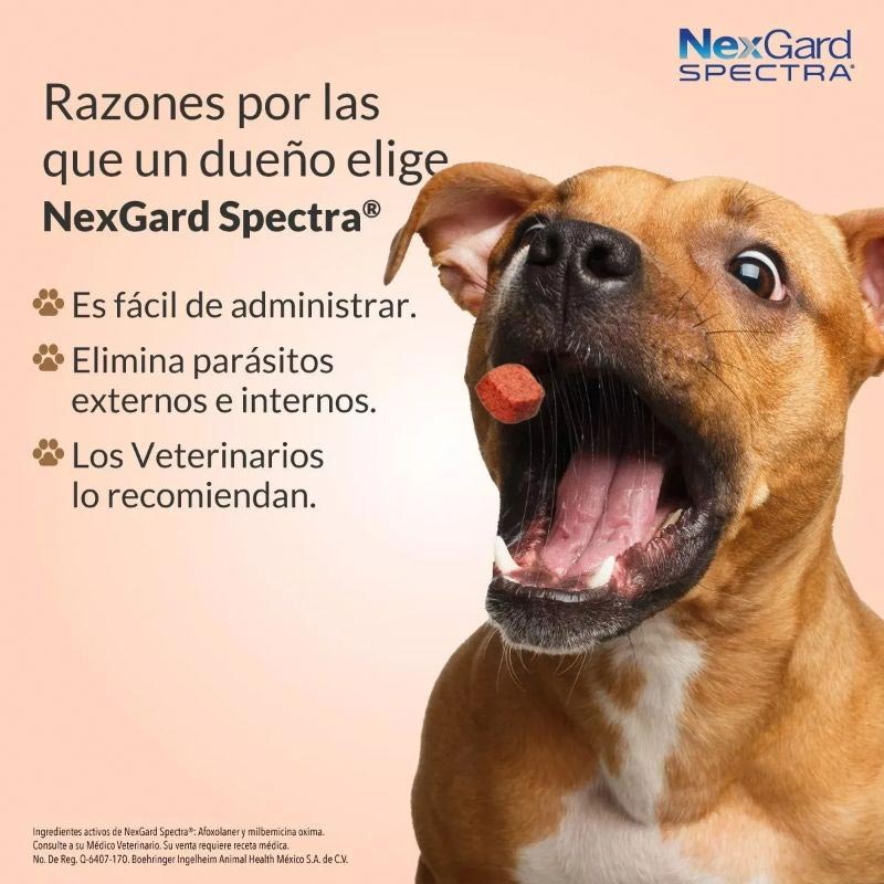 nexgard-spectra-tableta-masticable-para-perros-151-30-kg