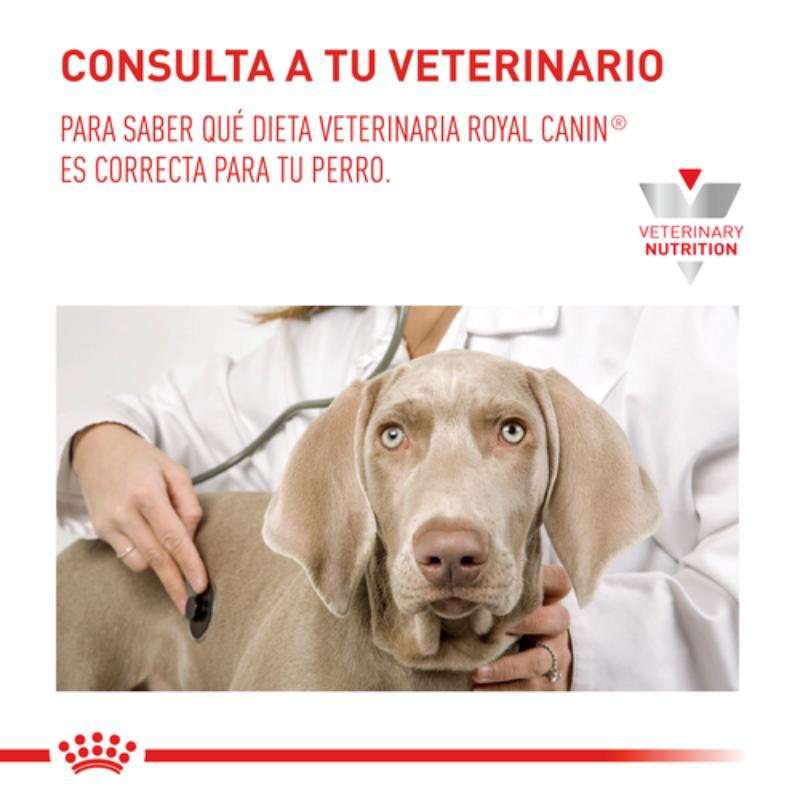 royal-canin-satiety-support-dog