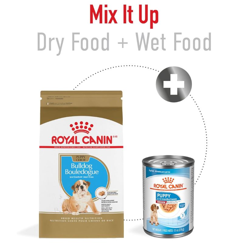 royal-canin-bulldog-ingles-cachorro