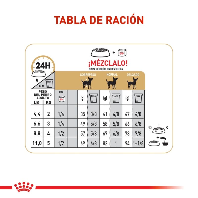 royal-canin-chihuahua-adulto