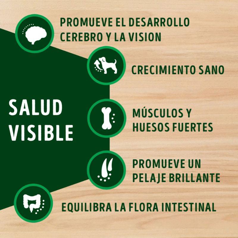 dog-chow-salud-visible-adultos-minis-y-pequenos