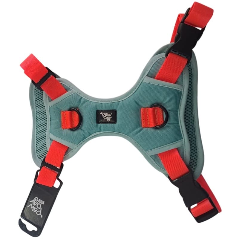 Paw Day - Arnes Essential Menta - Naranja