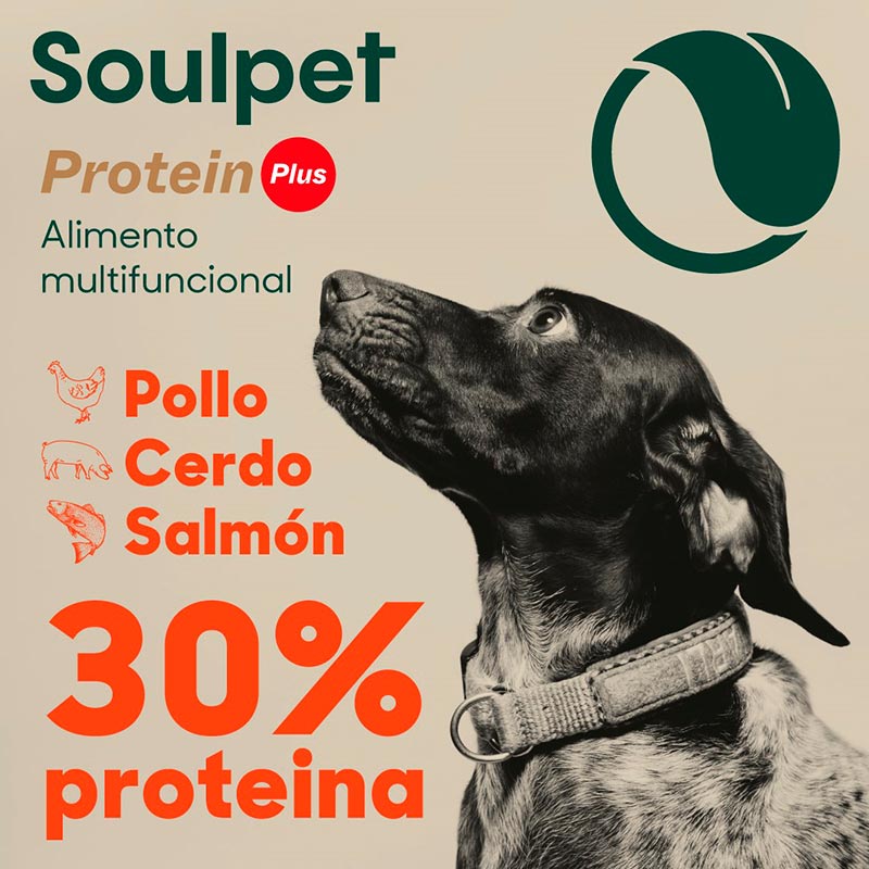 soulpet-alimento-para-perro-todas-las-razas-y-etapas
