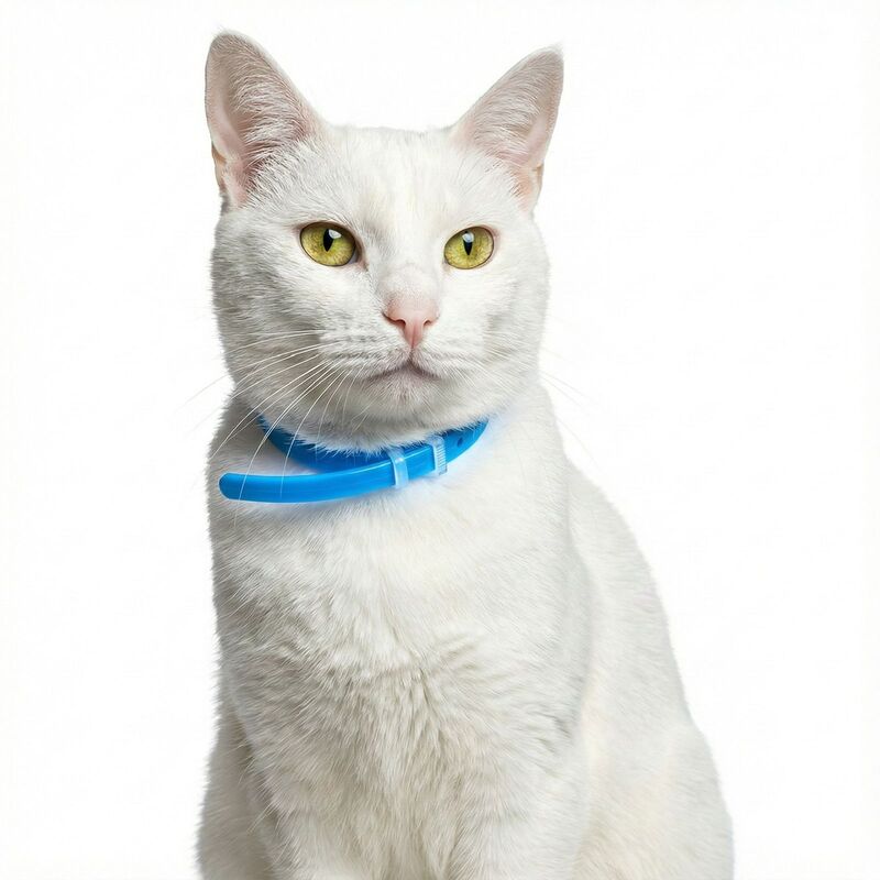 ferogatos-collar-de-feromonas-felinas