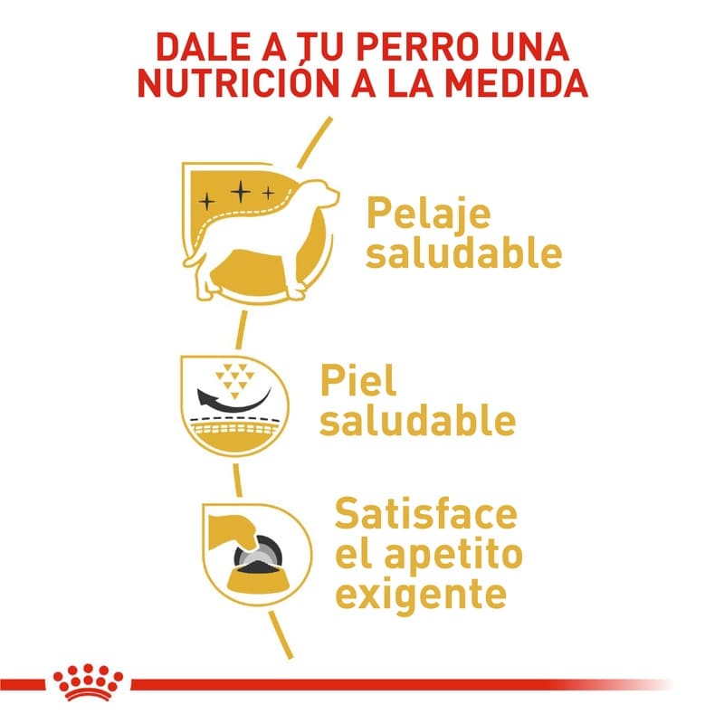 royal-canin-west-highland-white-terrier