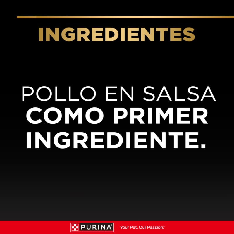 pro-plan-wet-dog-adult-chicken-100