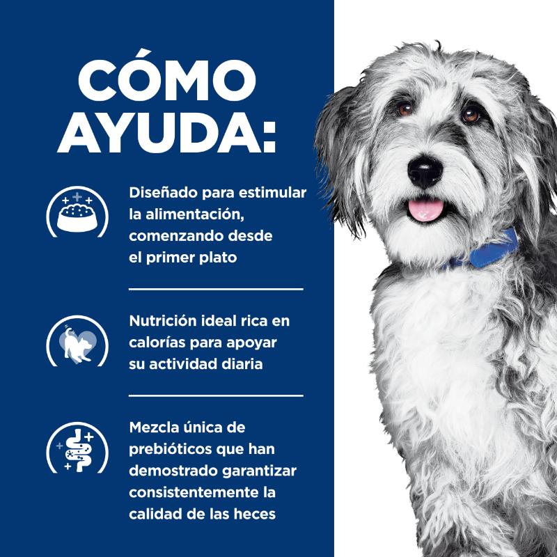 hills-alimento-para-perro-onc-care