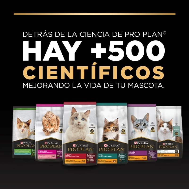 purina-pro-plan-gatitos-con-optistart
