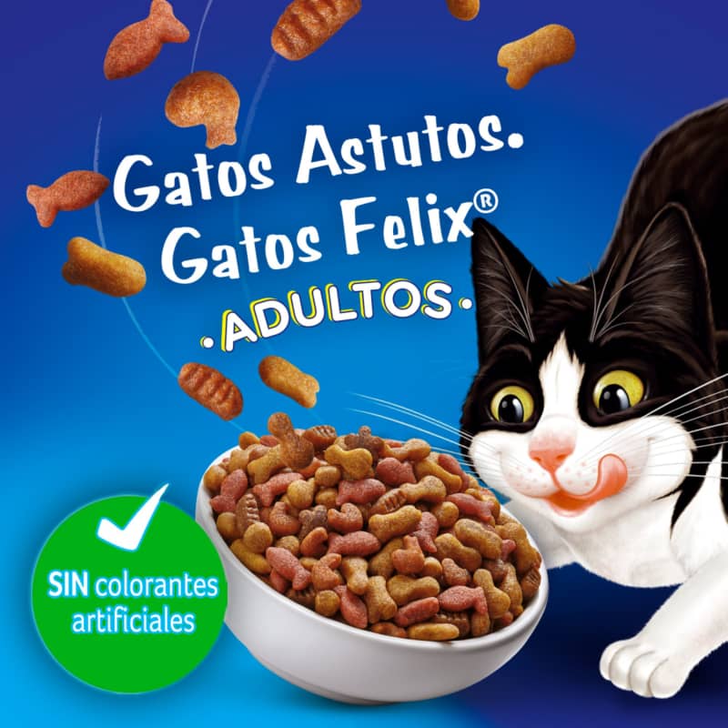 felix-gatitos-megamix