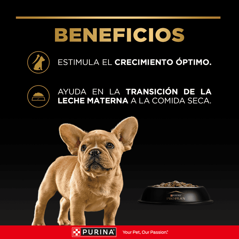 purina-pro-plan-puppy-razas-pequenas