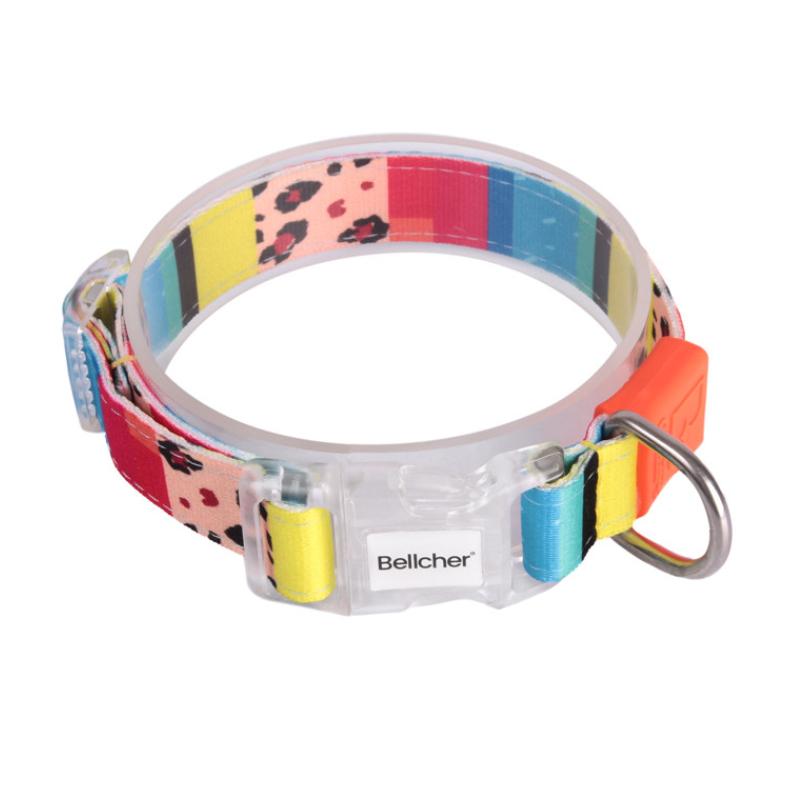 bellcher-collar-martingale-shakai-5-cm